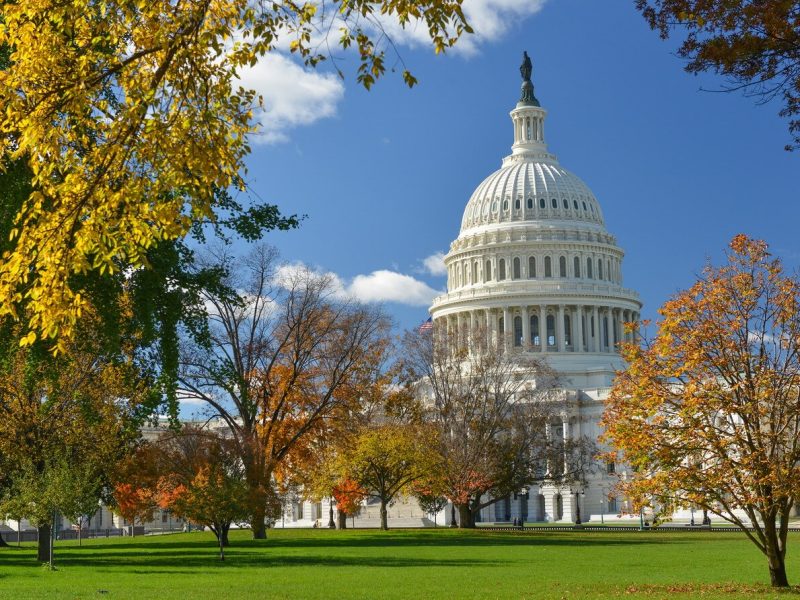 Trip Washington DC Tour New York