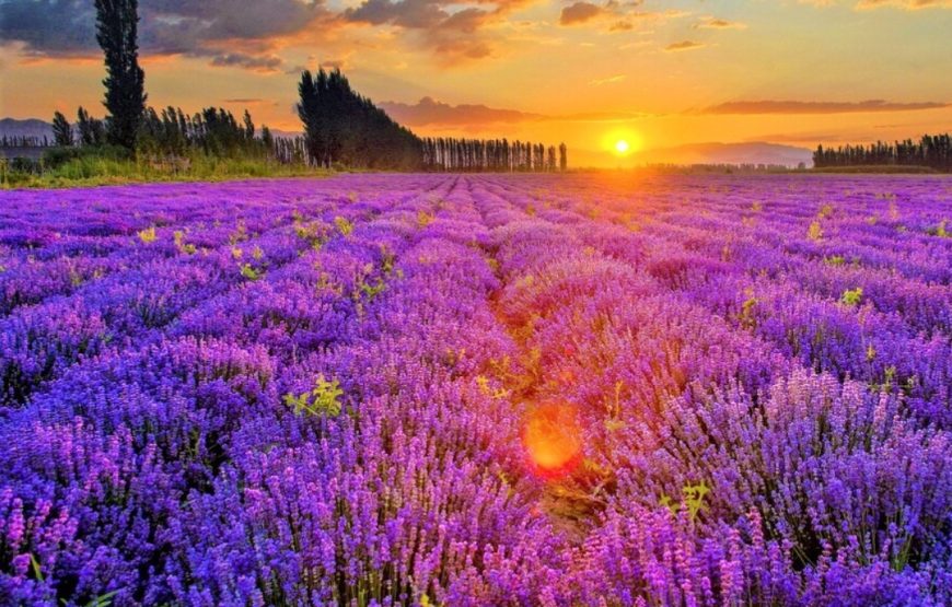 TOUR BẮC TÂN CƯƠNG: Urumqi – Cao tốc Sa Mạc –Hải Quỷ Thành- Làng Hoà Mục – Kanas – Bãi Ngũ Sắc – Thành phố Ma- Hồ Sayram – Yining