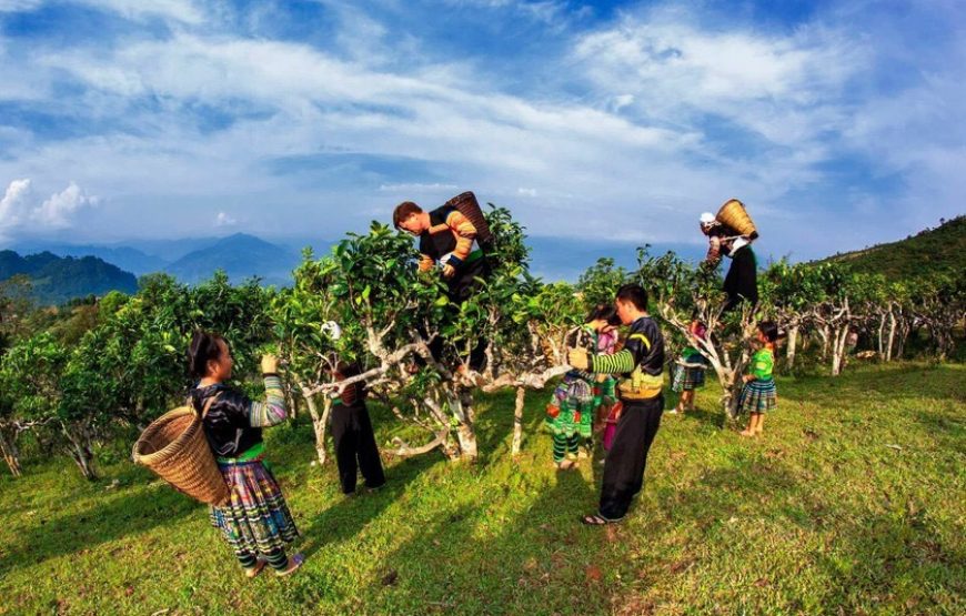 KHOÁNG NÓNG TRẠM TẤU-SUỐI GIÀNG 3 NGÀY 2 ĐÊM