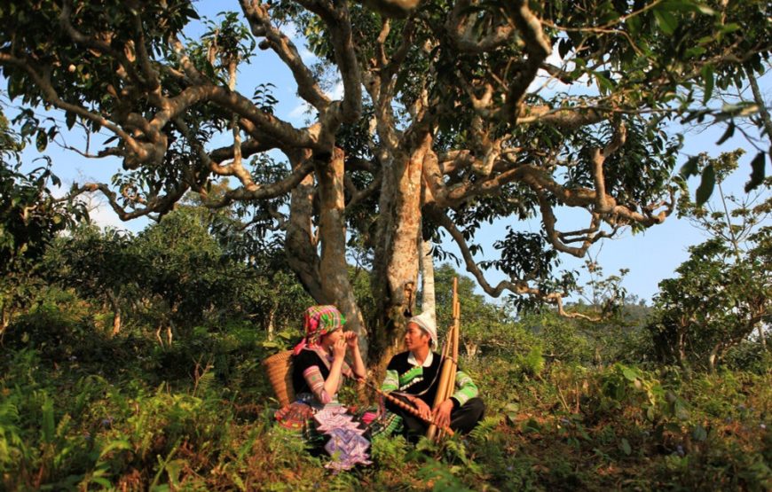 KHOÁNG NÓNG TRẠM TẤU-SUỐI GIÀNG 3 NGÀY 2 ĐÊM