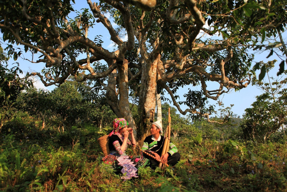 LỊCH TRÌNH CHI TIẾT TOUR KHOÁNG NÓNG TRẠM TẤU- SUỐI GIÀNG 3 NGÀY 2 ĐÊM
