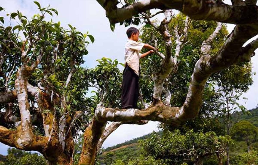 KHOÁNG NÓNG TRẠM TẤU-SUỐI GIÀNG 3 NGÀY 2 ĐÊM