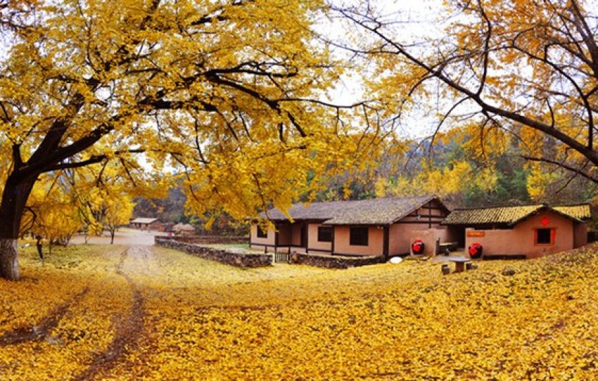 MÙA THU VÀNG ĐẰNG XUNG 腾冲-LÀNG NGÂN HẠNH – TOUR VÂN NAM 5 NGÀY