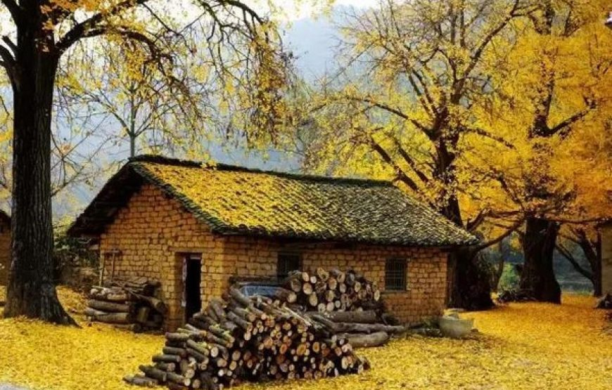 MÙA THU VÀNG ĐẰNG XUNG 腾冲-LÀNG NGÂN HẠNH – TOUR VÂN NAM 5 NGÀY