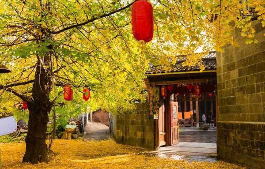 MÙA THU VÀNG ĐẰNG XUNG 腾冲-LÀNG NGÂN HẠNH – TOUR VÂN NAM 5 NGÀY