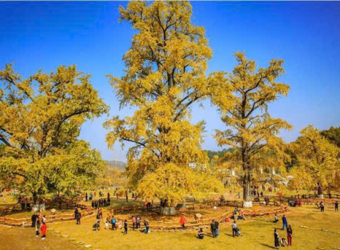 Làng Ngân Hạnh-Giang Đông, Đằng Xung, Trung Quốc