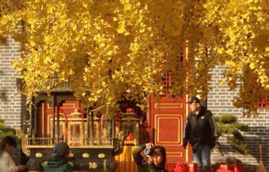 MÙA THU VÀNG ĐẰNG XUNG 腾冲-LÀNG NGÂN HẠNH – TOUR VÂN NAM 5 NGÀY