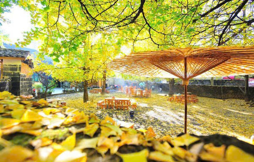 MÙA THU VÀNG ĐẰNG XUNG 腾冲-LÀNG NGÂN HẠNH – TOUR VÂN NAM 5 NGÀY