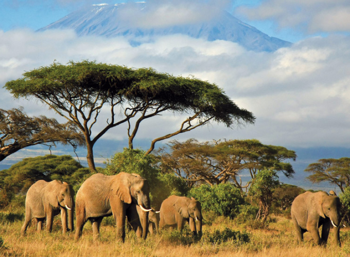 Pilanesberg Game Reserve- Tour Nam Phi